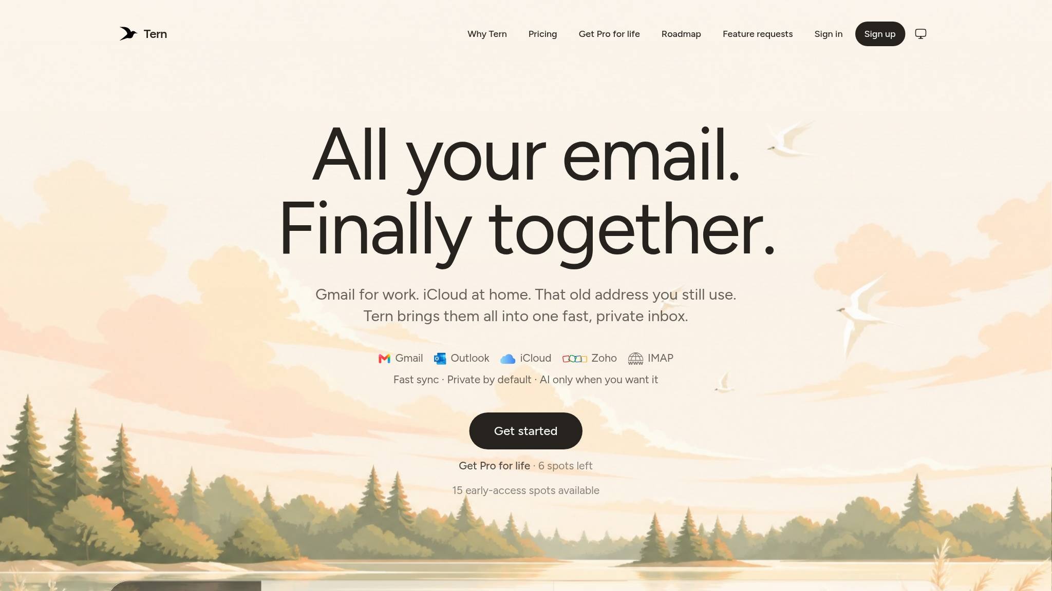 Tern later landing-page capture